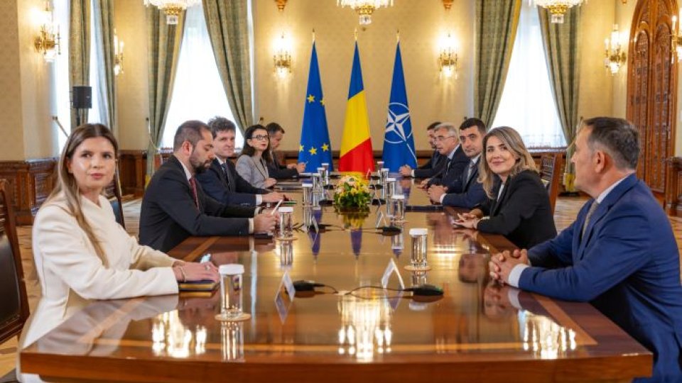 Consultări la Palatul Cotroceni pentru desemnarea unui nou candidat la funcţia de prim-ministru